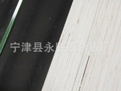 高密度防水建筑模板、胶合板厂家直销图3