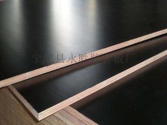 供应施工专用黑模板、建筑模板厂家直销图2
