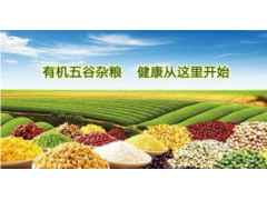 2021年广州天然有机绿色食材展会